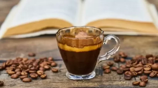 Best Espresso Beans With A Great Taste Of Aroma For Coffee Lover